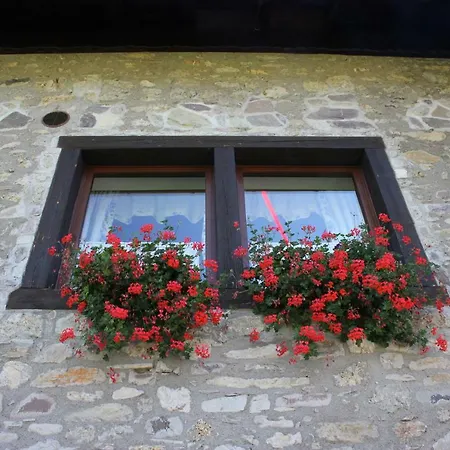 Genziana Guest house *