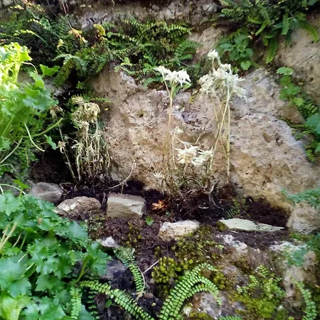Pensjonat Genziana