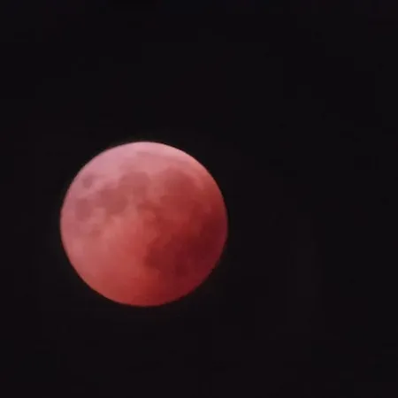 Genziana Pensjonat Ovaro