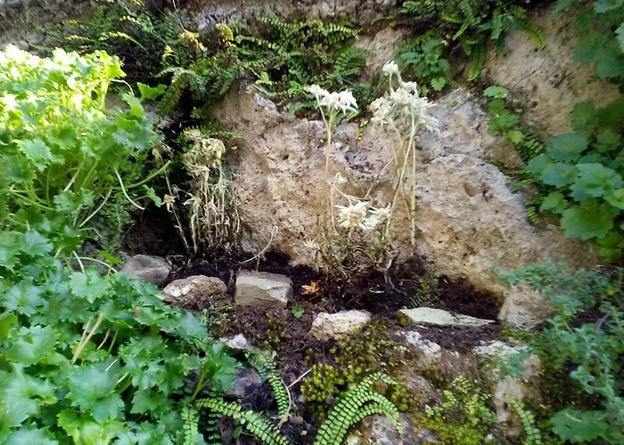 Vendégház Genziana